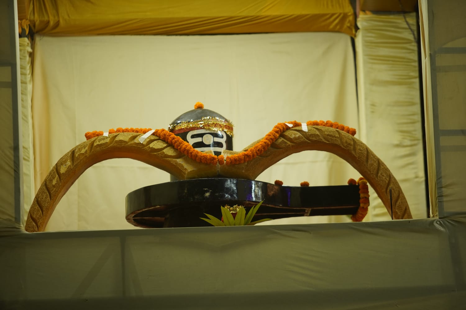 Dhanuyatra Bargarh Photo