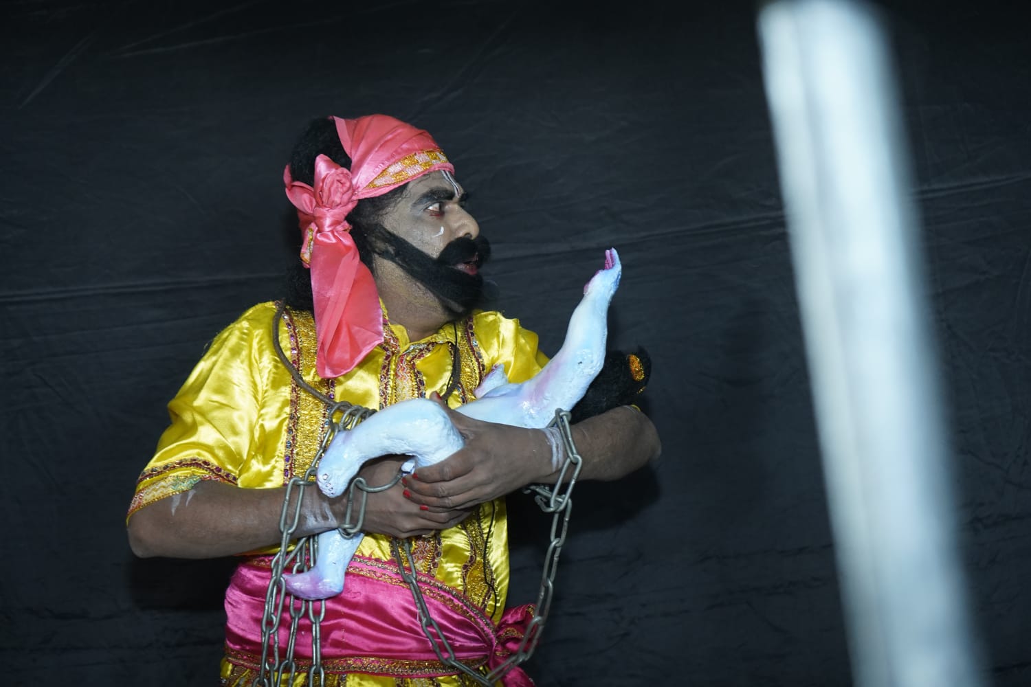 Dhanuyatra Bargarh Photo